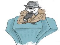 镇赉县取证公司解说第三者承担离婚赔偿责任吗